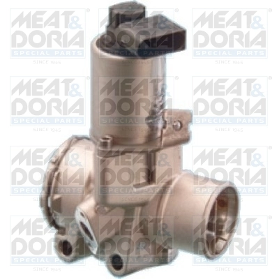 EGR Valve